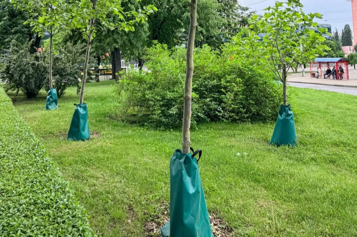 Мішки для крапельного поливу дерев у Києві: як вони працюють