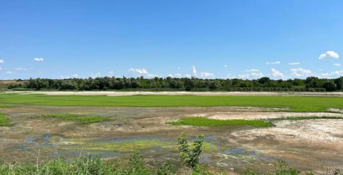 Великий Луг на місці Каховського водосховища: шлях до ЮНЕСКО